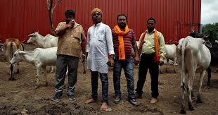 Supporting Gau Rakshaks